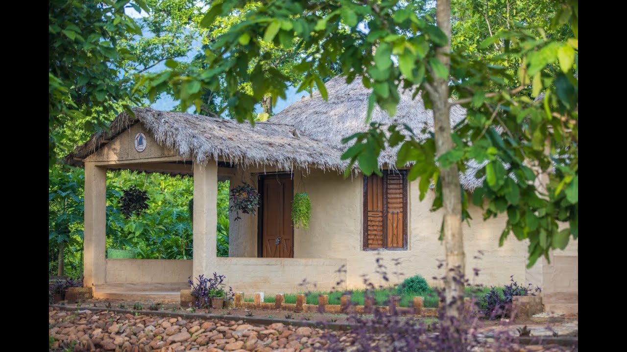 Thatched cottage framed by trees at Similipal Eco Cottage