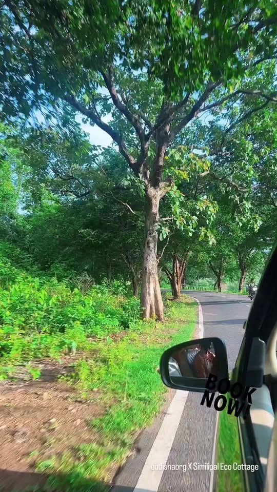 The forest road leading towards Similipal Eco Cottage
