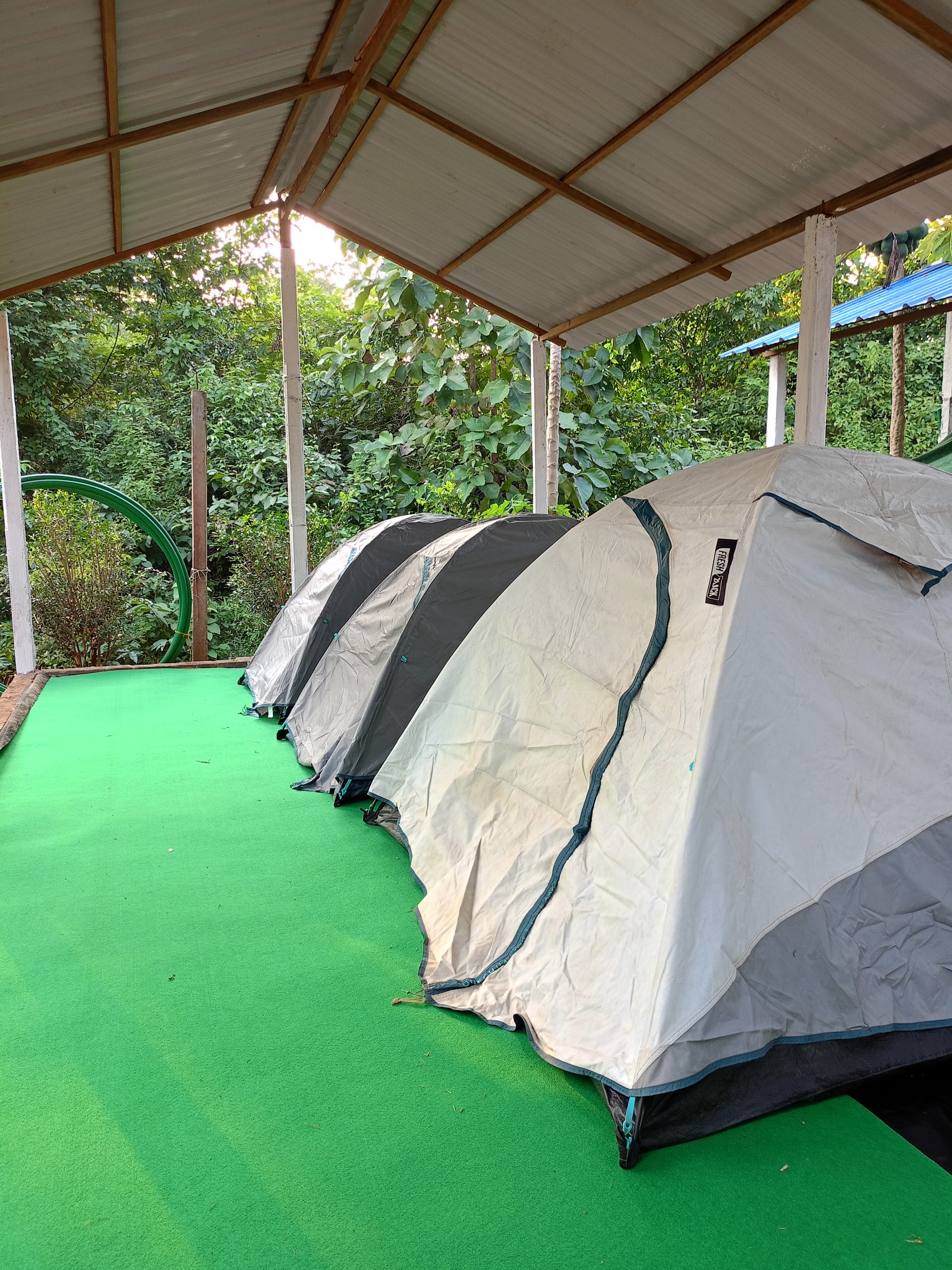 A moment at and around Similipal Eco Cottage