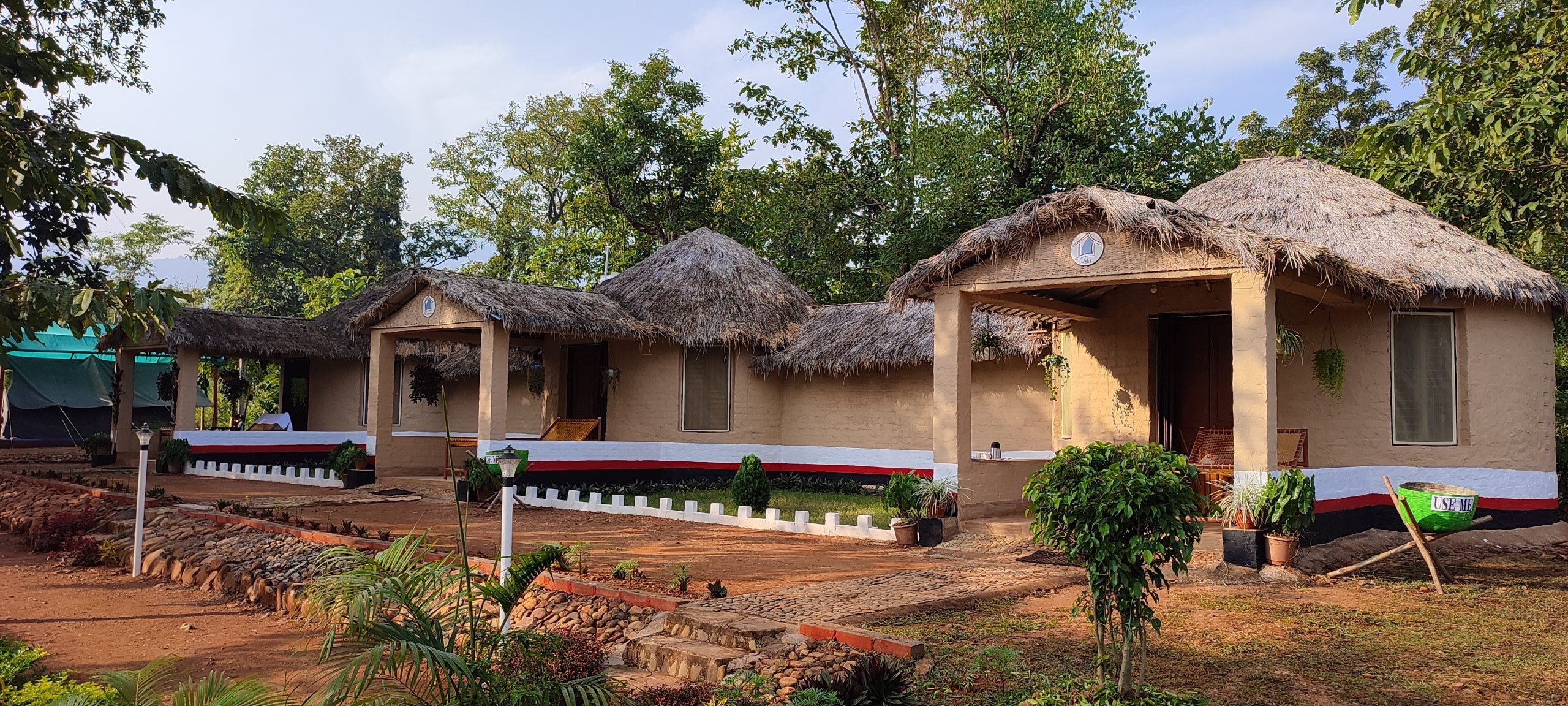 Eco cottages surrounded by greenery
