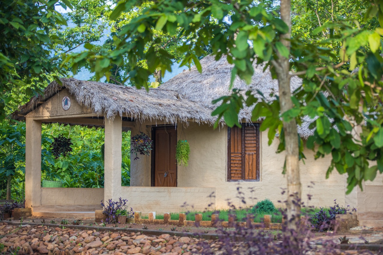 A moment at and around Similipal Eco Cottage