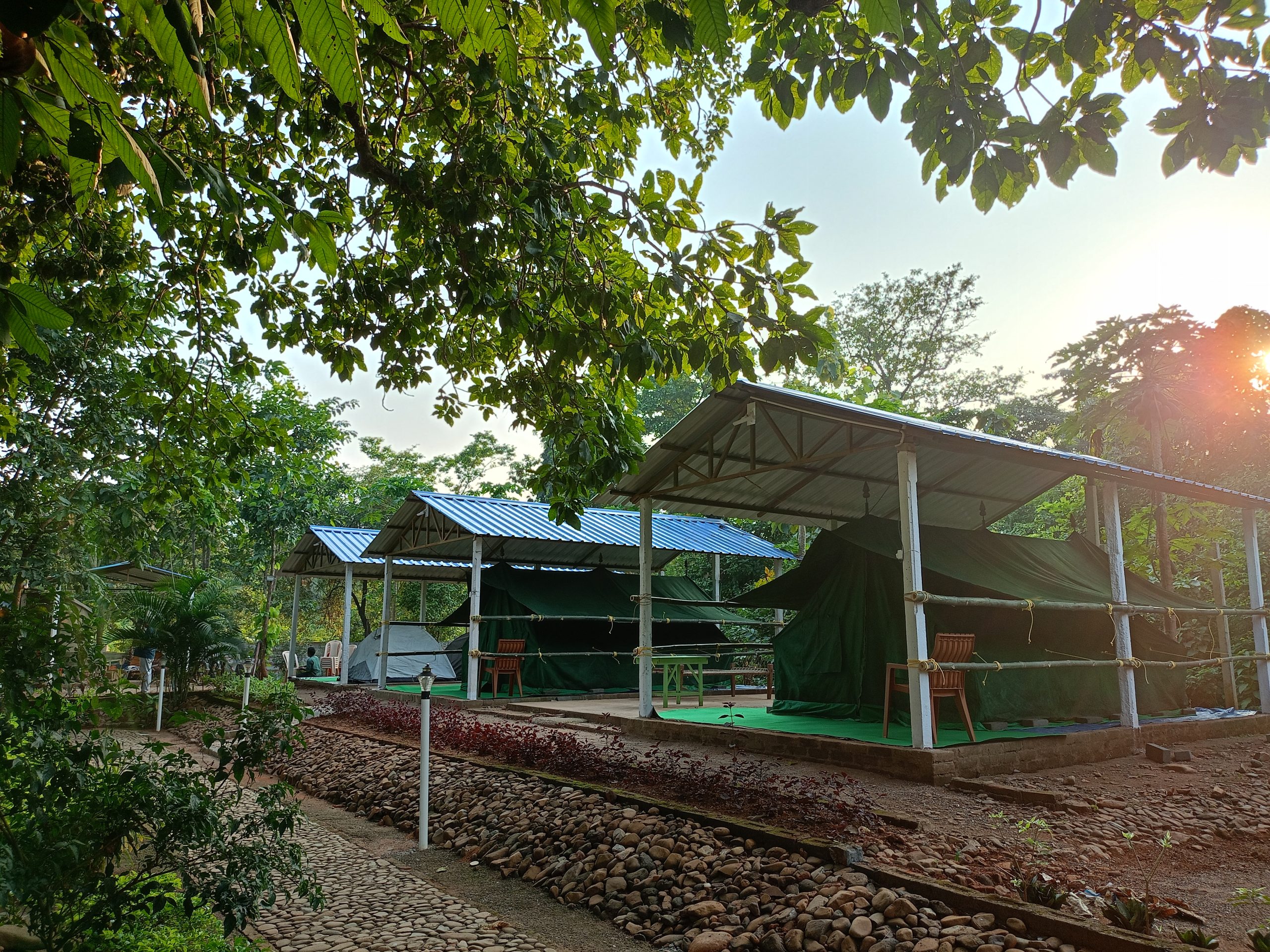 Garden and safari tents at Similipal Eco Cottage
